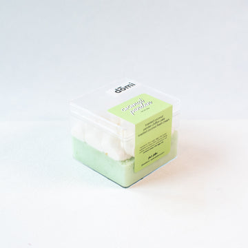 COCONUT PANDAN CAKE BOX